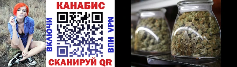 Каннабис индика  omg как войти  Дорогобуж  наркотики 